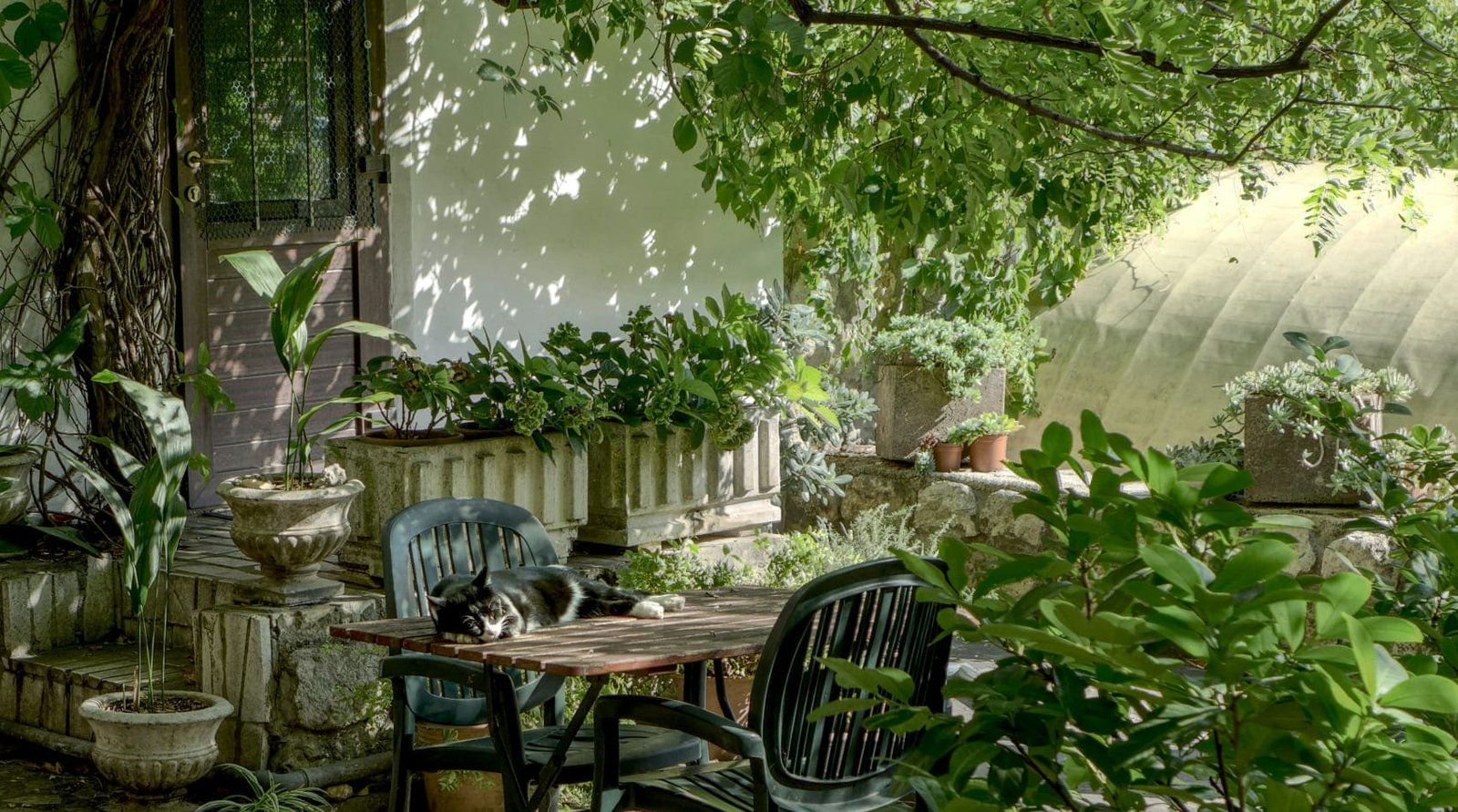 gardening